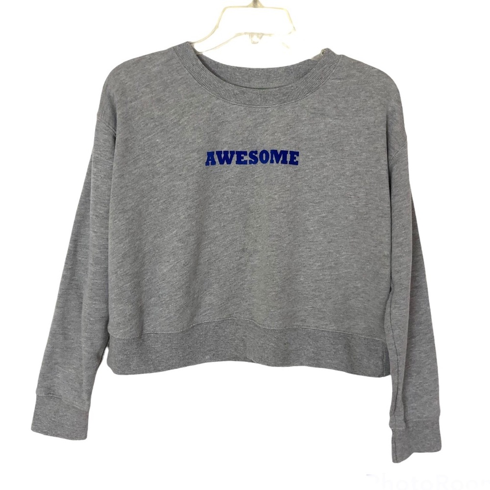 Dip Gray Cropped Awesome Sweatshirt